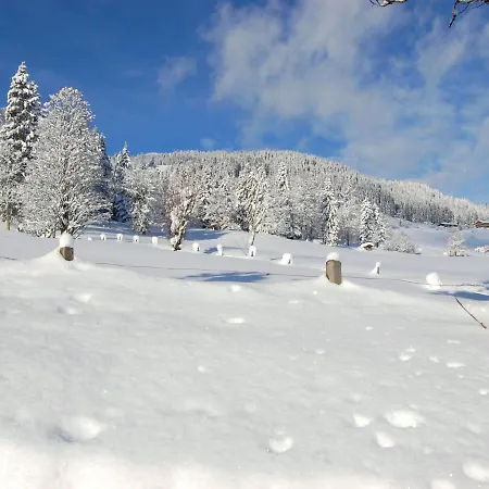 Entalhof By Interhome Apartman Hopfgarten im Brixental