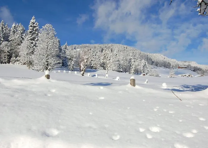 Entalhof By Interhome Apartamento Hopfgarten im Brixental