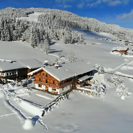 Entalhof By Interhome Hopfgarten im Brixental