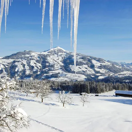 Daire Entalhof By Interhome